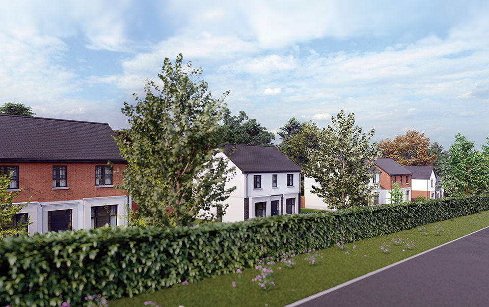 Development Image
